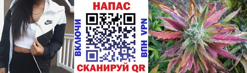 наркота  OMG зеркало  Канабис White Widow  Солигалич 